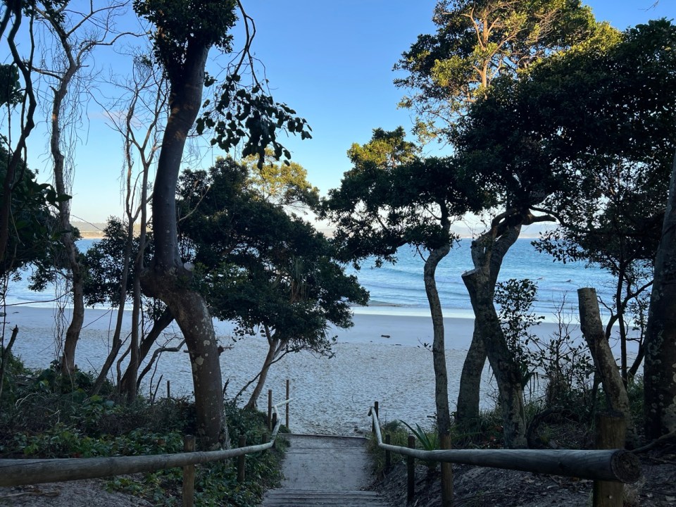 Cape Byron Walking Track