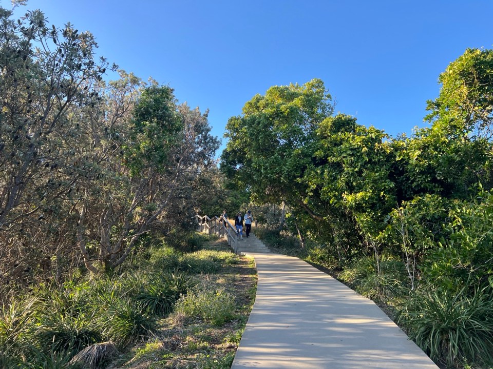 Cape Byron Walking Track