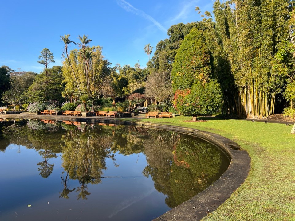 Royal Botanical Garden de Sydney 