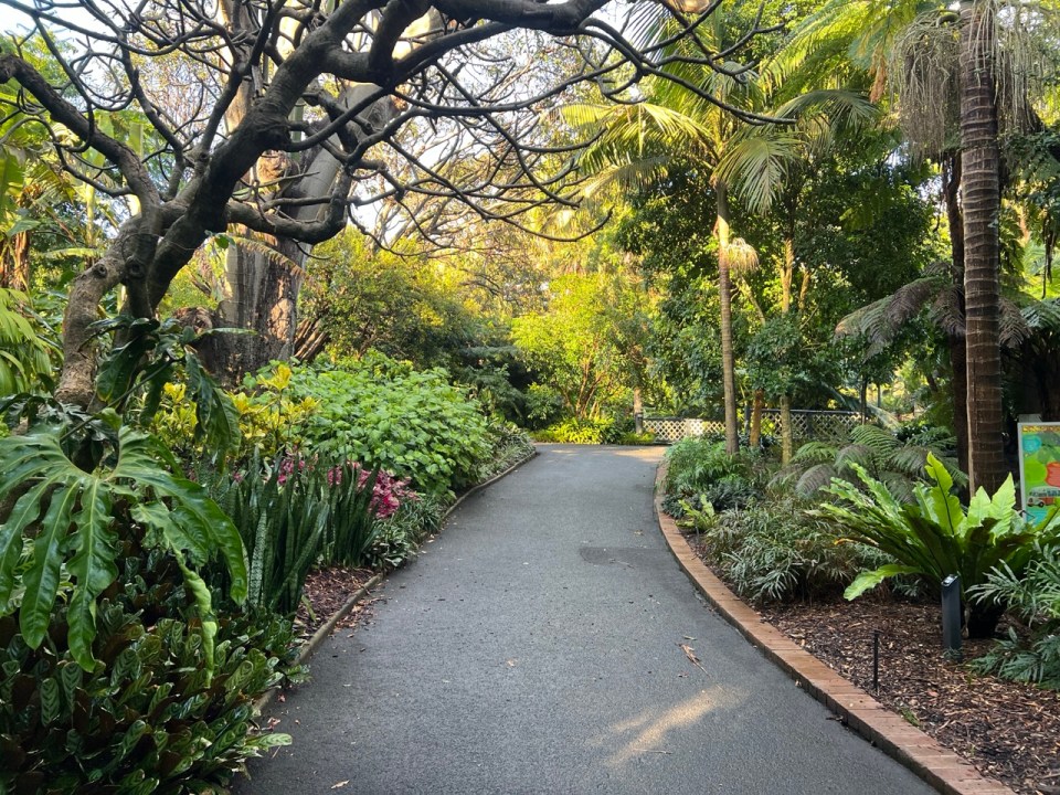 Royal Botanical Garden de Sydney 
