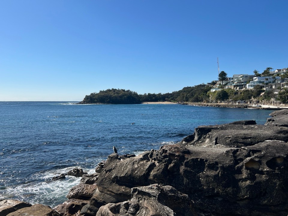 Shelly Beach à Manly 