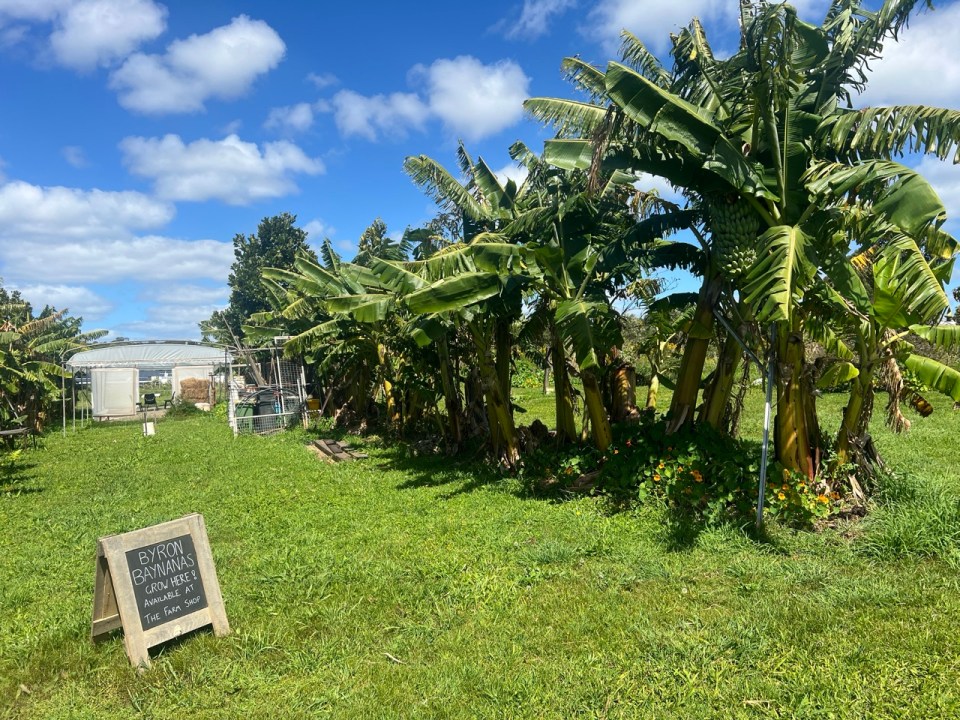 The Farm de Byron Bay