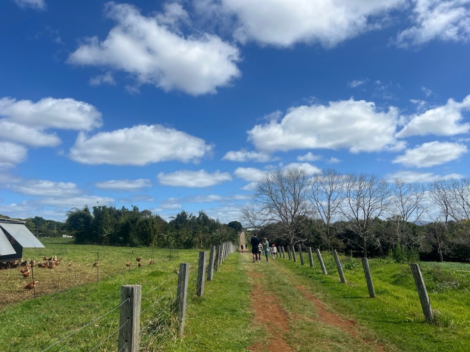 The Farm de Byron Bay