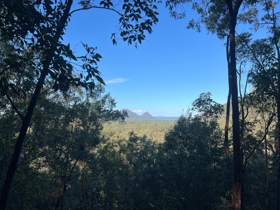 Tibrogargan Circuit dans les Glass House Mountains