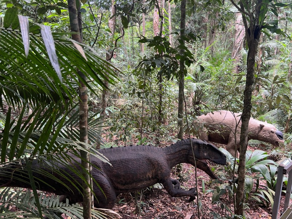 visiter le Daintree Discovery Center