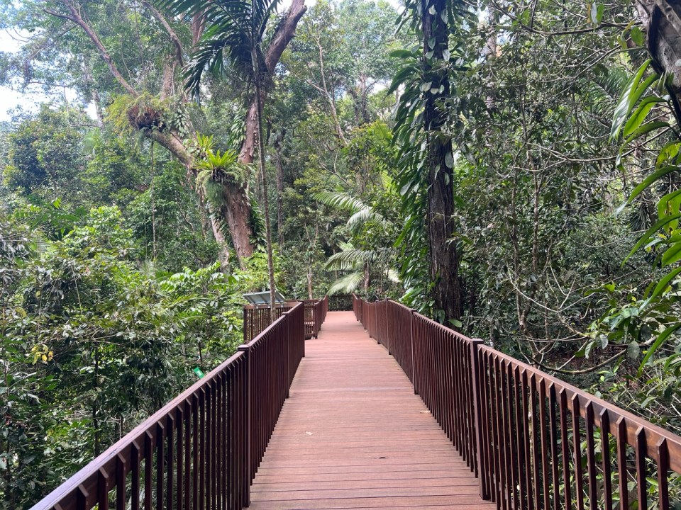 visiter le Daintree Discovery Center