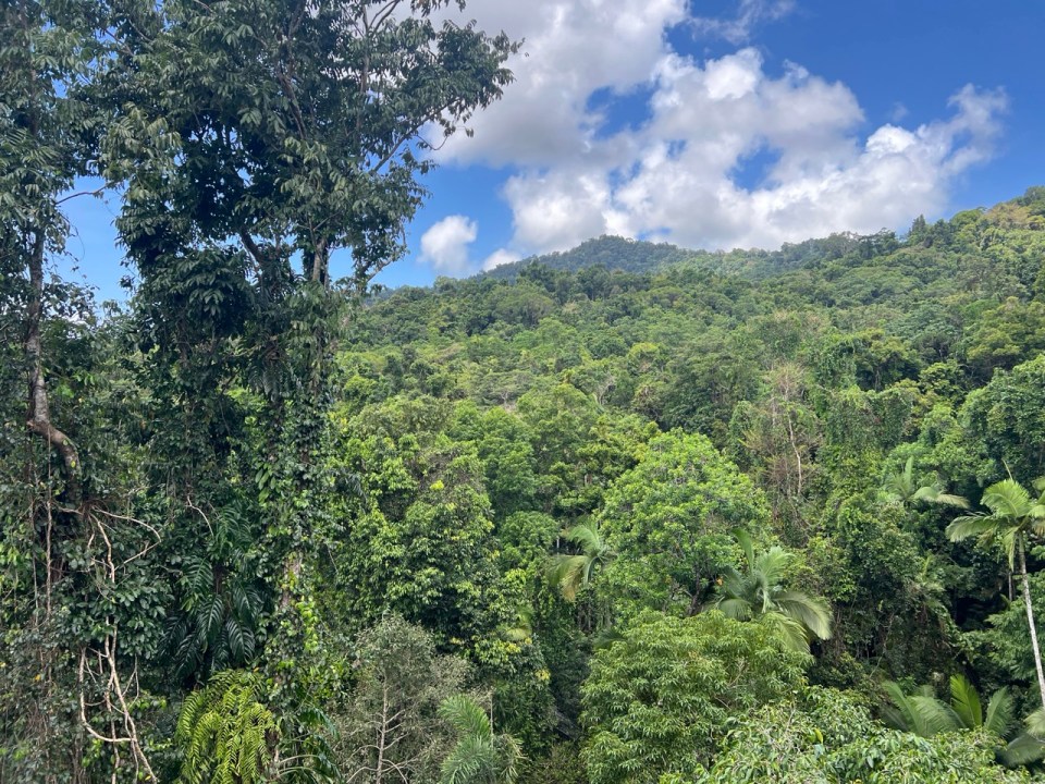 visiter le Daintree Discovery Center