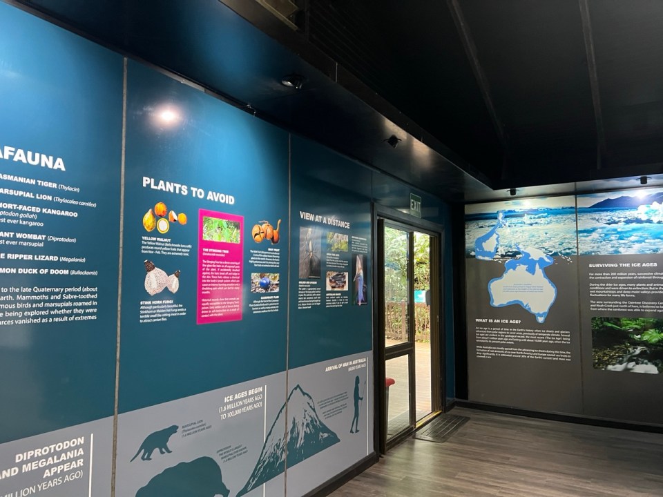 visiter le Daintree Discovery Center