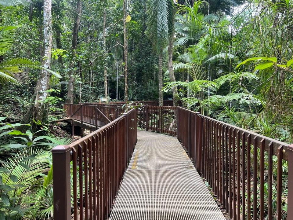 visiter le Daintree Discovery Center