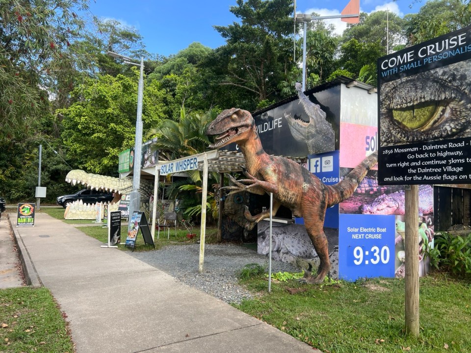 croisière pour voir les croocodiles dans la Daintree Forest