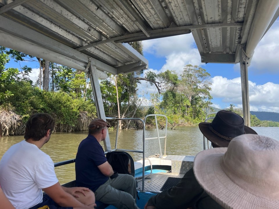 croisière pour voir les croocodiles dans la Daintree Forest
