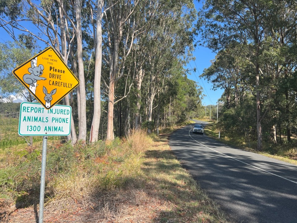 Route dans les Glass House Mountains National Park