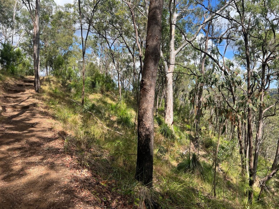 Glass House Mountains Lookout circuit