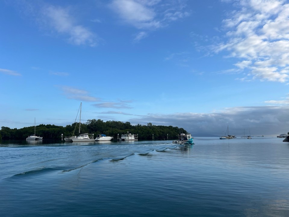excursion pour voir la Grande Barrière de Corail à Low Isles au départ de Port Douglas.