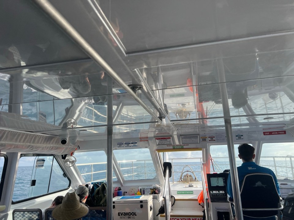 excursion pour voir la Grande Barrière de Corail à Low Isles au départ de Port Douglas.