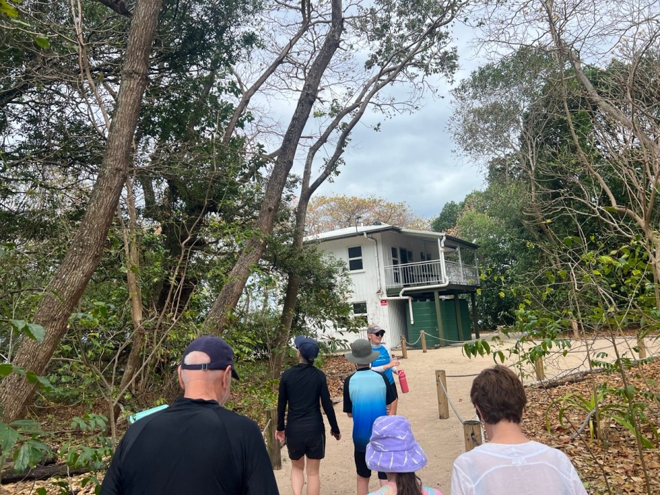 excursion pour voir la Grande Barrière de Corail à Low Isles au départ de Port Douglas.