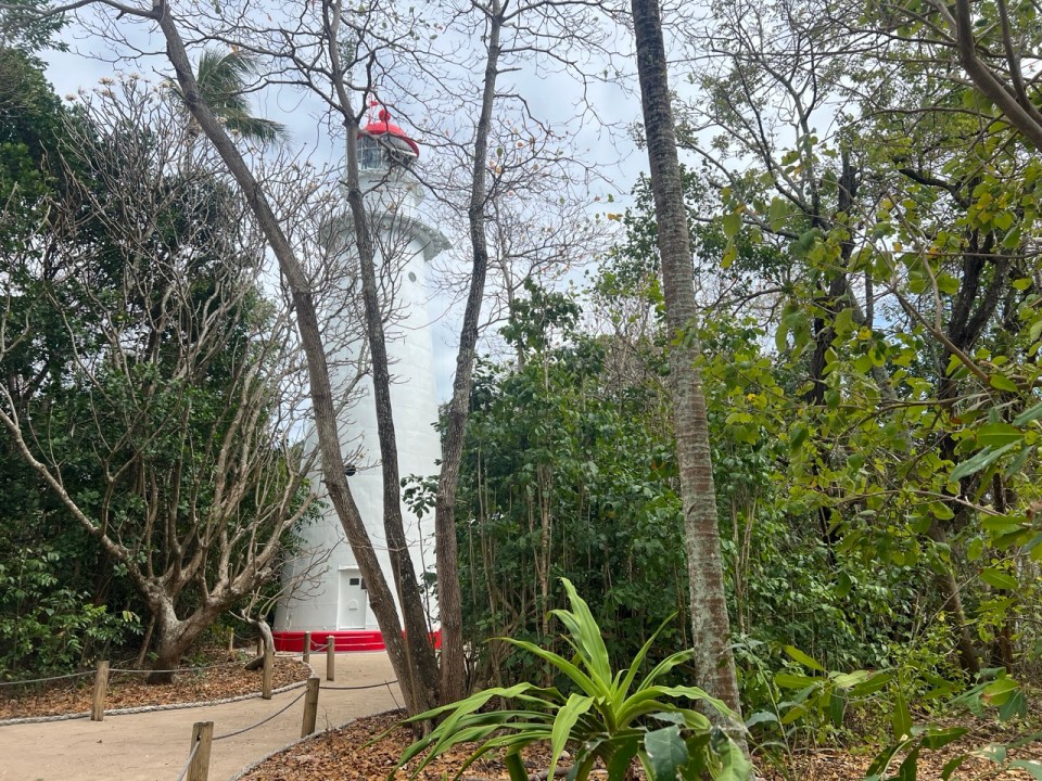 excursion pour voir la Grande Barrière de Corail à Low Isles au départ de Port Douglas.