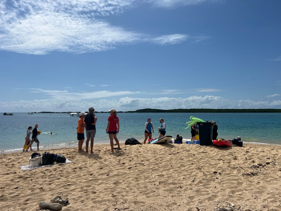 excursion pour voir la Grande Barrière de Corail à Low Isles au départ de Port Douglas.
