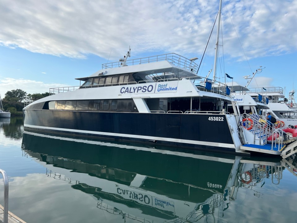 excursion pour voir la Grande Barrière de Corail à Low Isles au départ de Port Douglas.