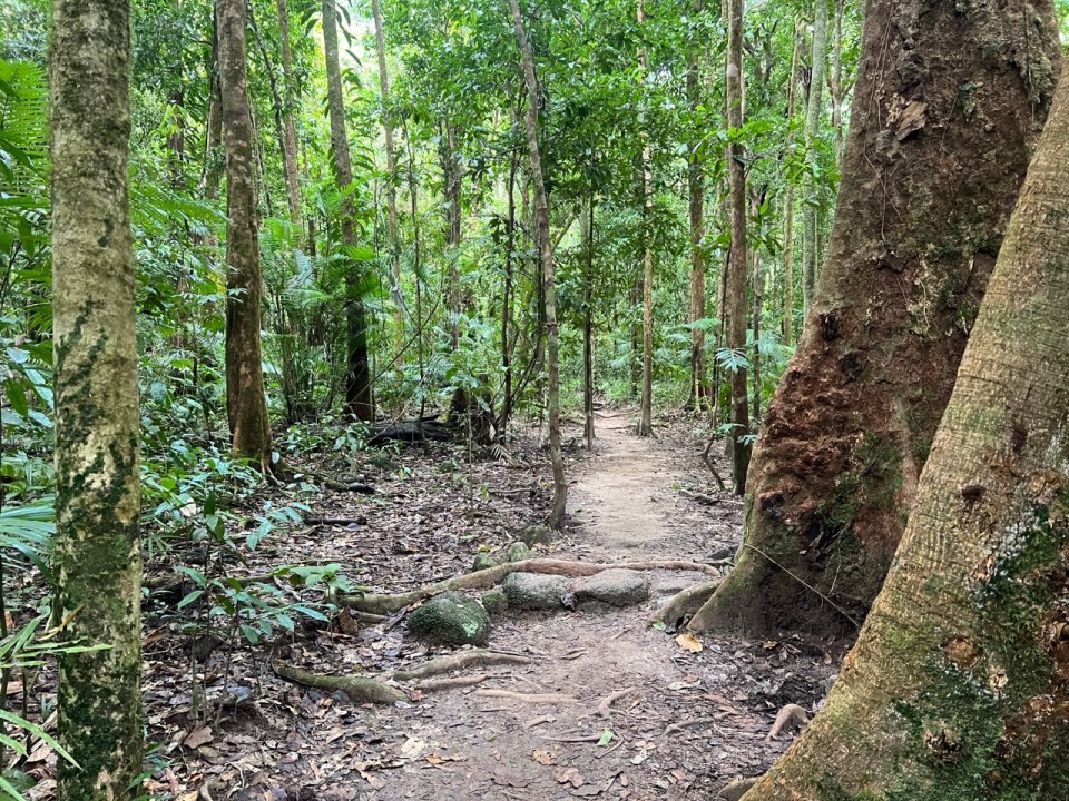 visiter les Mossman Gorge à Port Douglas
