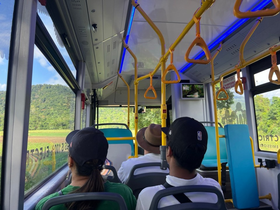 visiter les Mossman Gorge à Port Douglas
