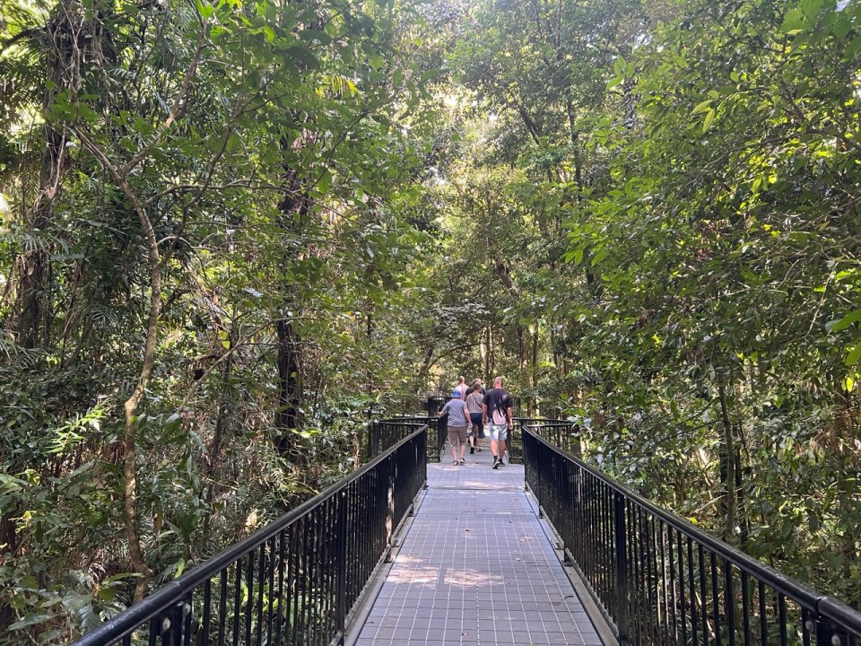 Faire des randonnées dans les  Mossman Gorge à Port Douglas