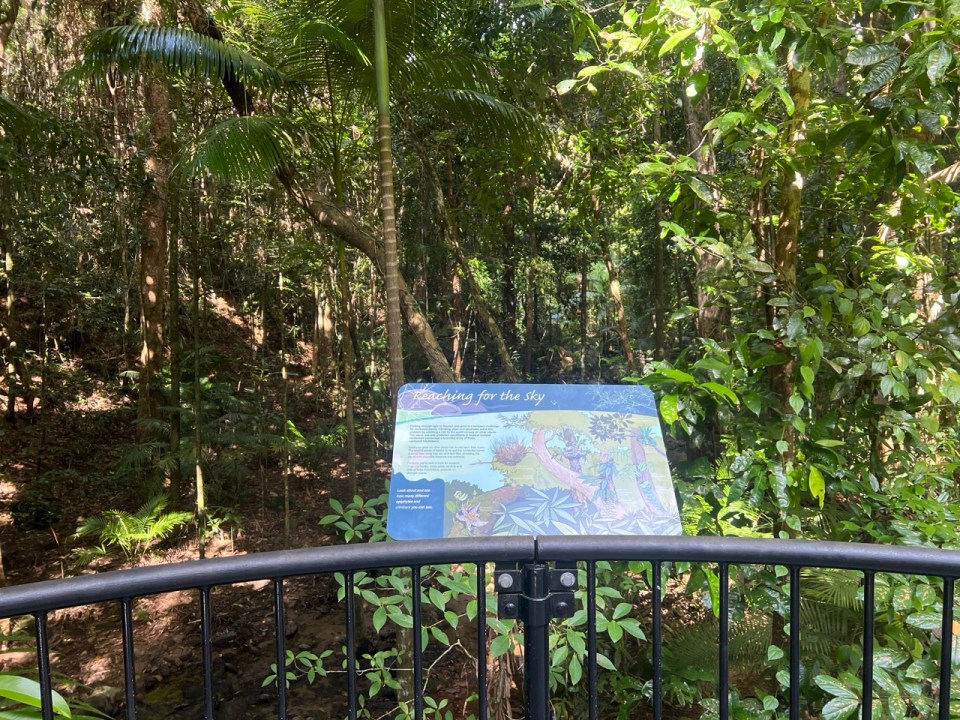 Faire des randonnées dans les  Mossman Gorge à Port Douglas