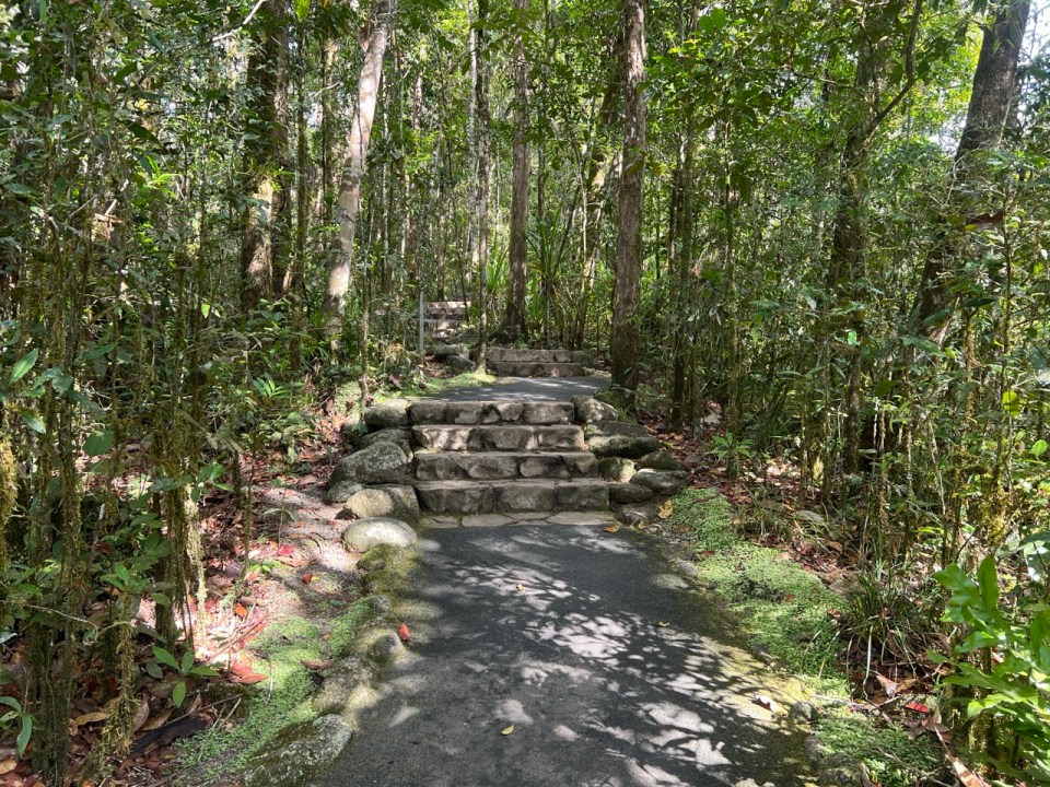 visiter les Mossman Gorge à Port Douglas