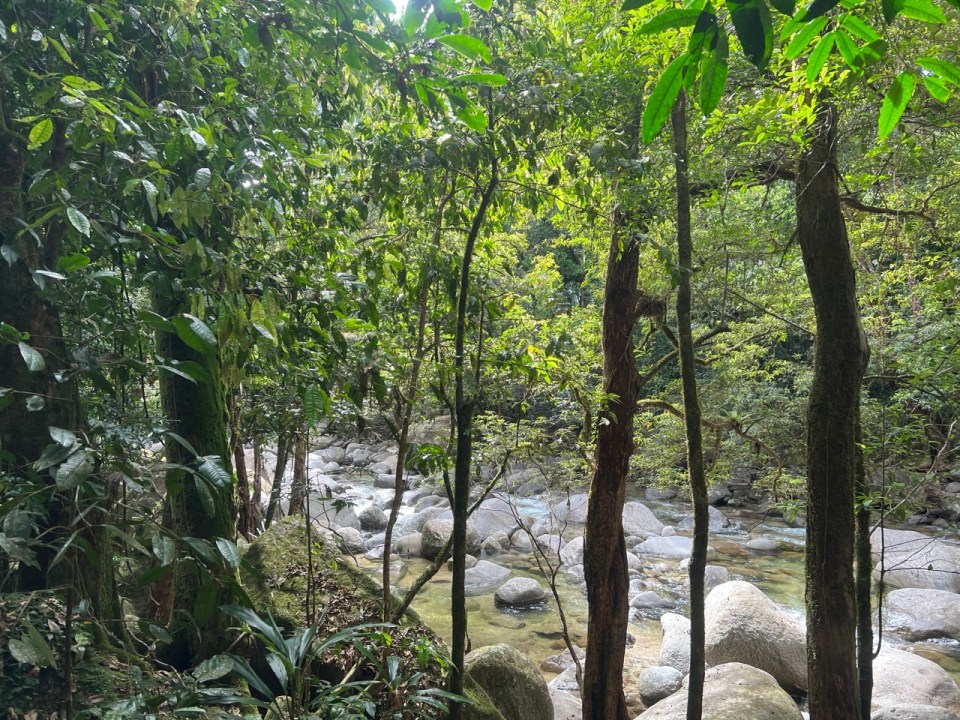 Faire des randonnées dans les  Mossman Gorge à Port Douglas