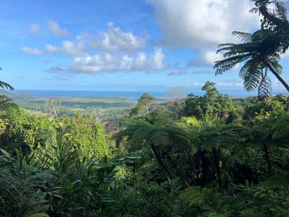 Mount Alexandra Lookout dans la Daintree Forest