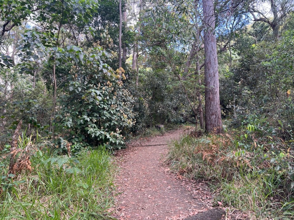 Mount Beerburrum Walking Track dans les Glass House Mountains