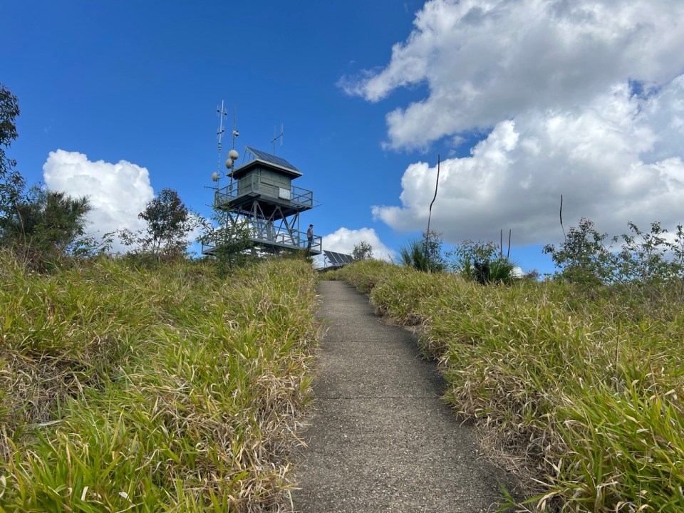 Mount Beerburrum Walking Track dans les Glass House Mountains 