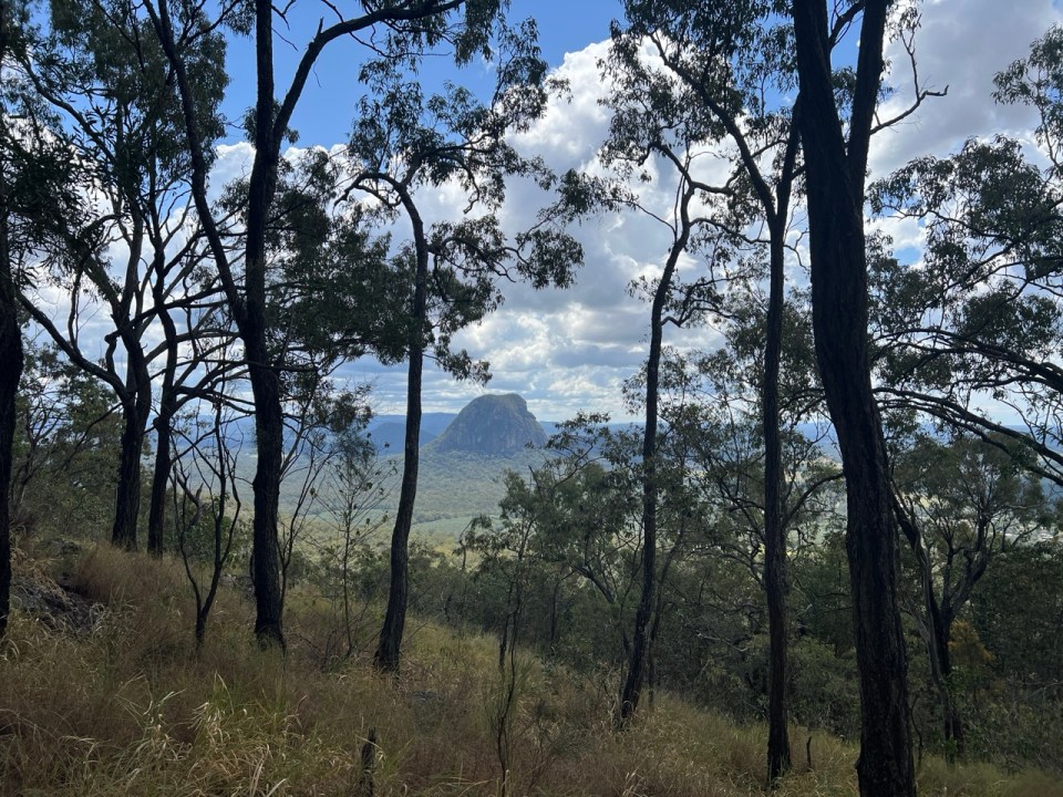 Mount Beerburrum Walking Track dans les Glass House Mountains