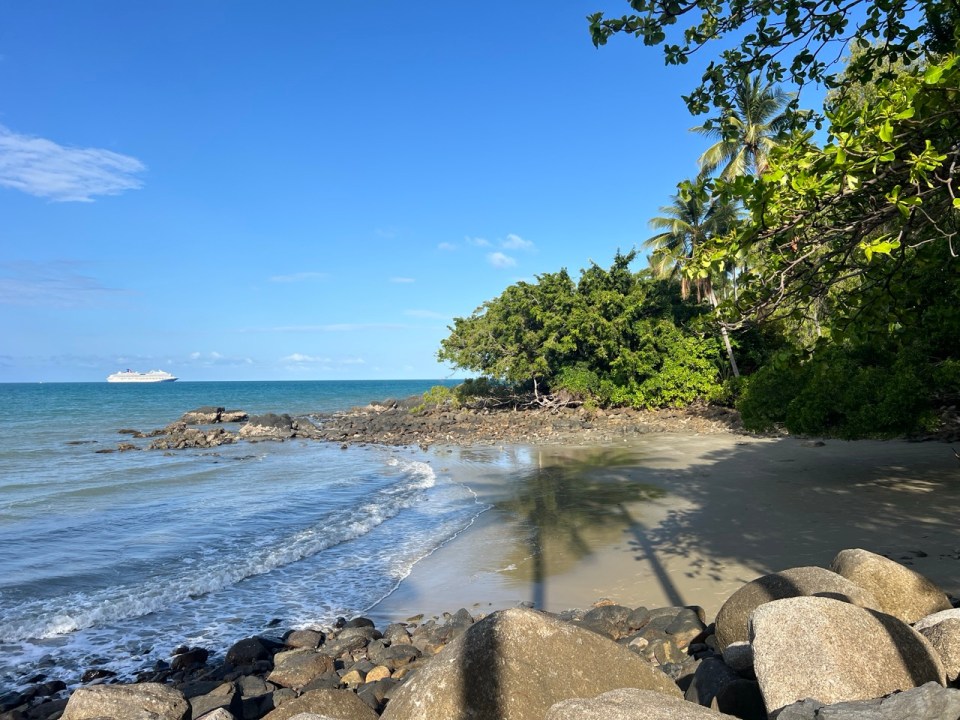 randonnée Flagstaff Hill Walking Trail à Port Douglas