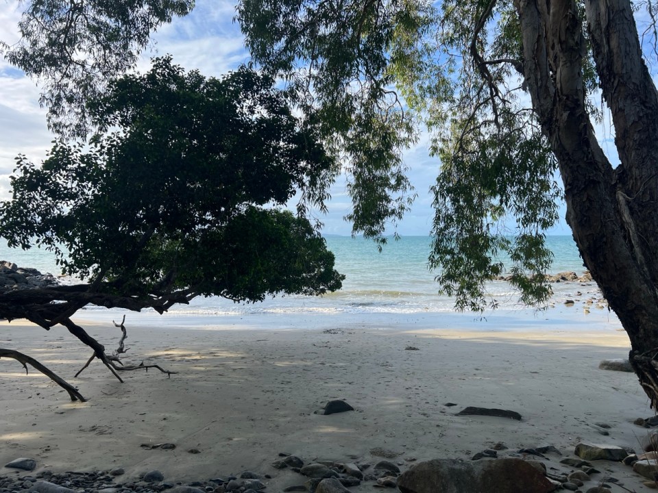 randonnée Flagstaff Hill Walking Trail à Port Douglas