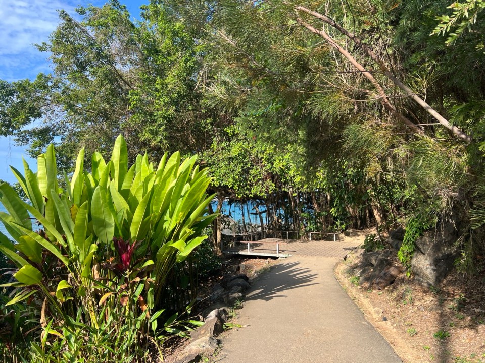 randonnée Flagstaff Hill Walking Trail à Port Douglas
