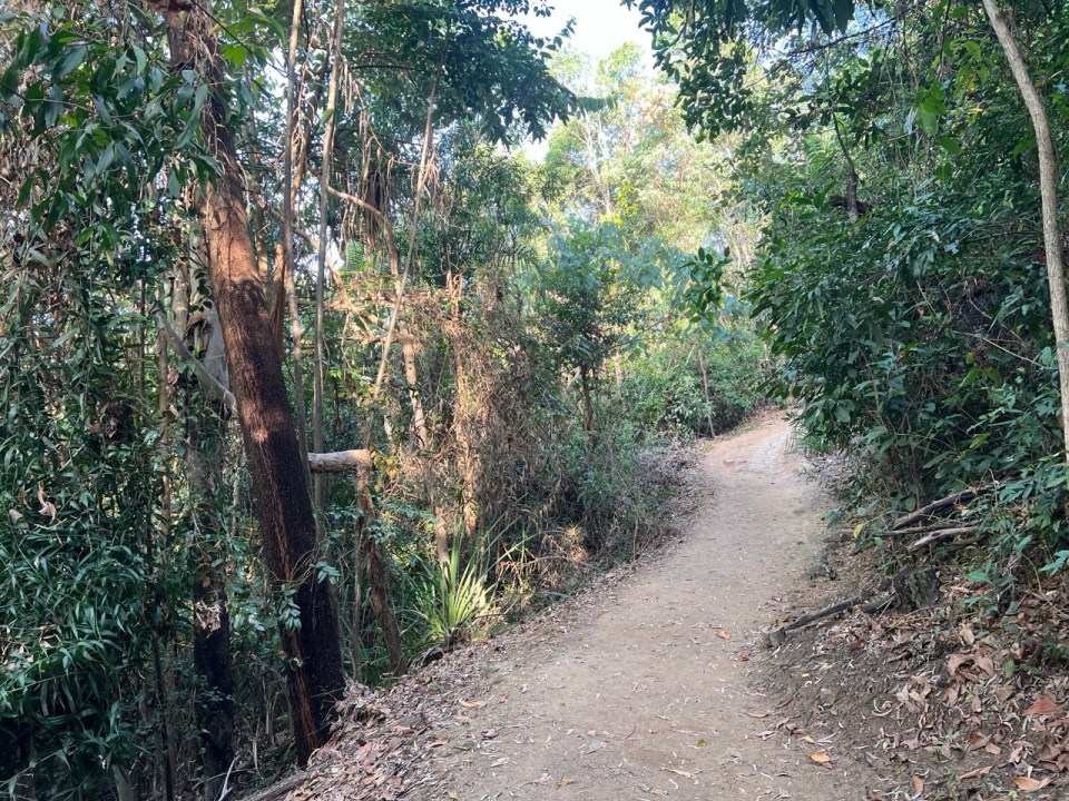 randonnée Flagstaff Hill Walking Trail à Port Douglas