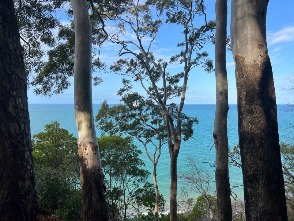 randonnée Flagstaff Hill Walking Trail à Port Douglas