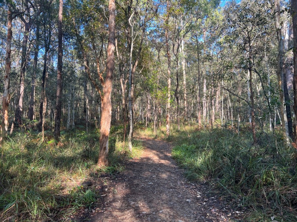 Tibrogargan Circuit dans les Glass House Mountains