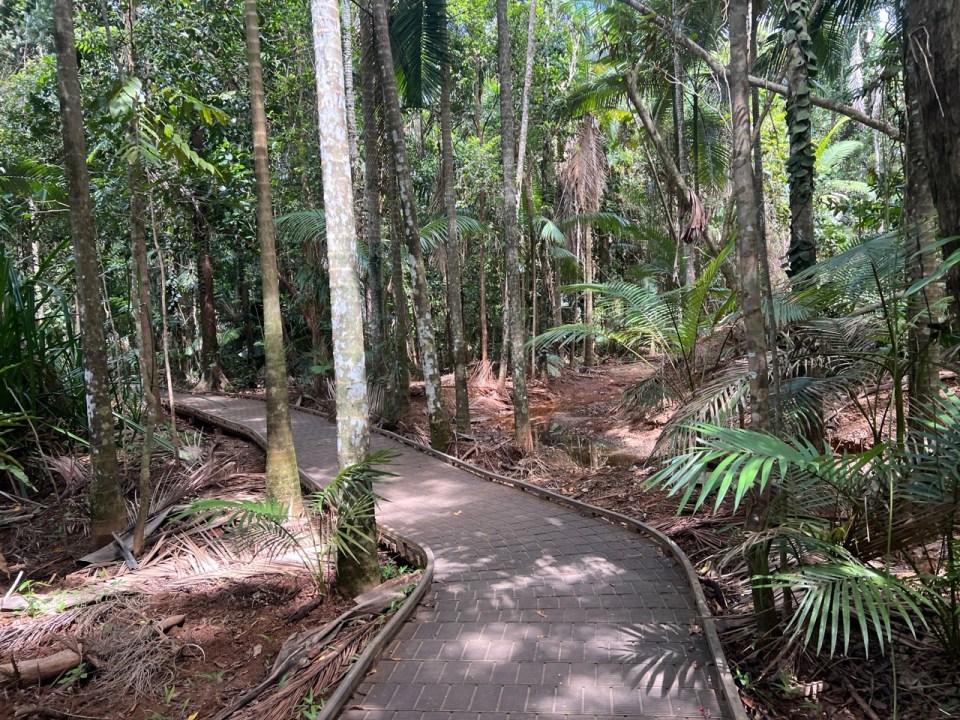 Cape Tribulation dans la Daintree Forest
