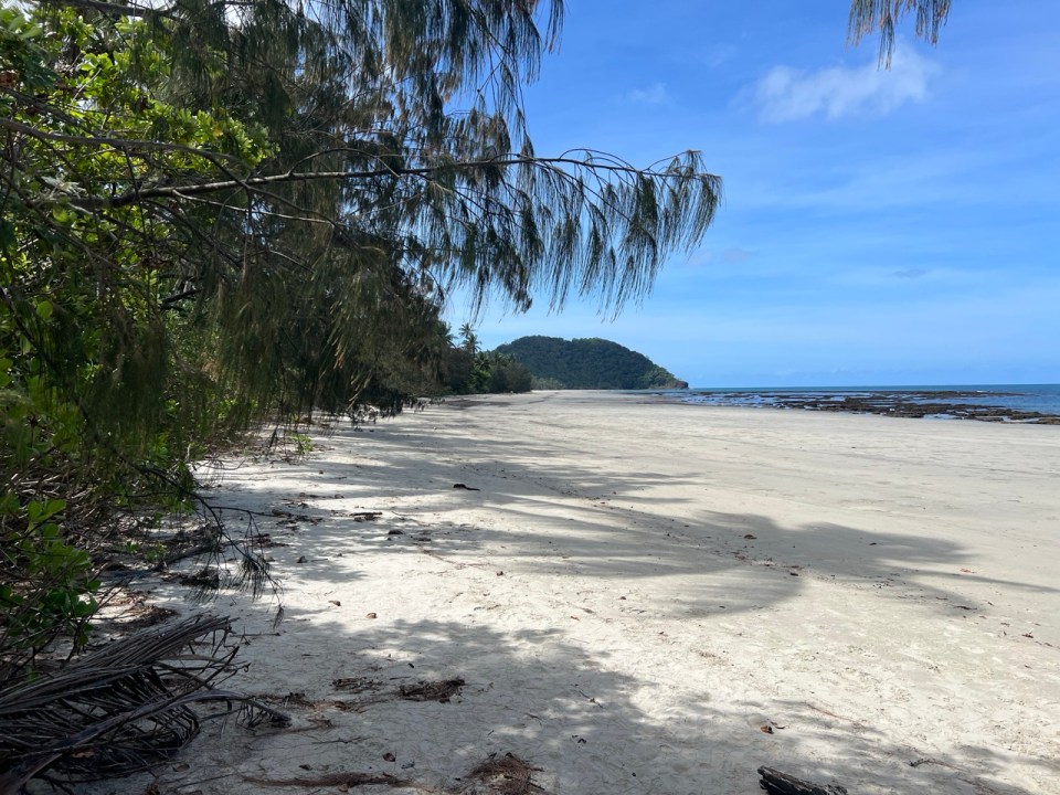 Cape Tribulation dans la Daintree Forest
