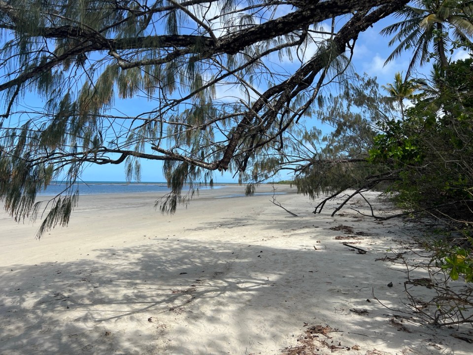 Cape Tribulation dans la Daintree Forest
