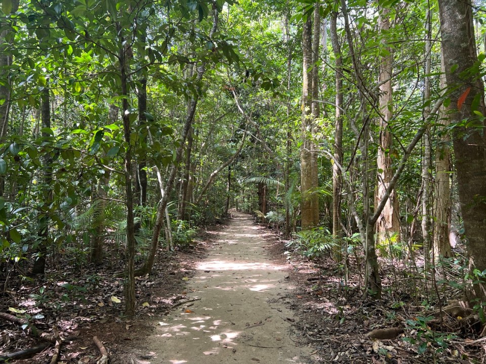 Cape Tribulation dans la Daintree Forest