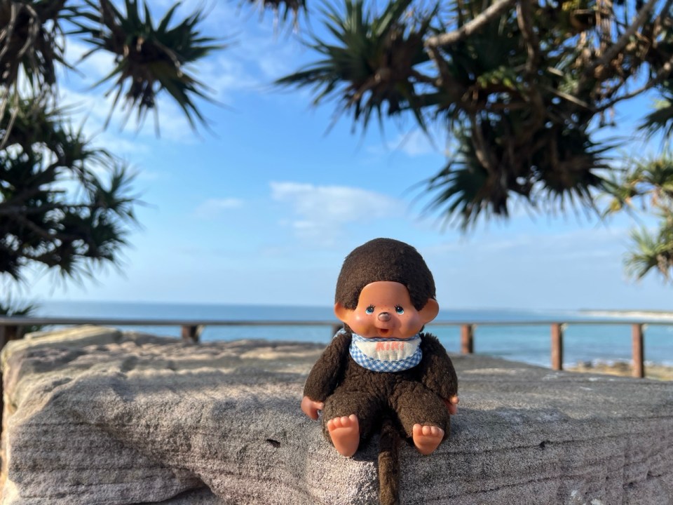 Visiter la Sunshine Coast