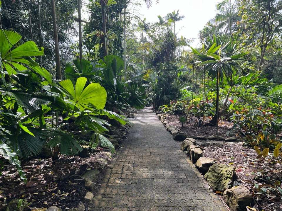 Cairns Botanic Gardens