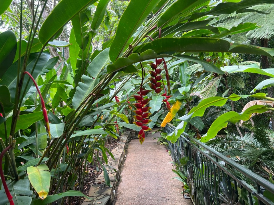 Cairns Botanic Gardens