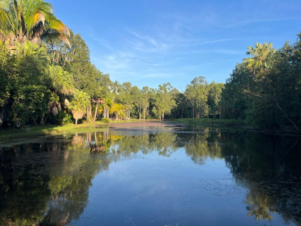 Cairns Botanic Gardens