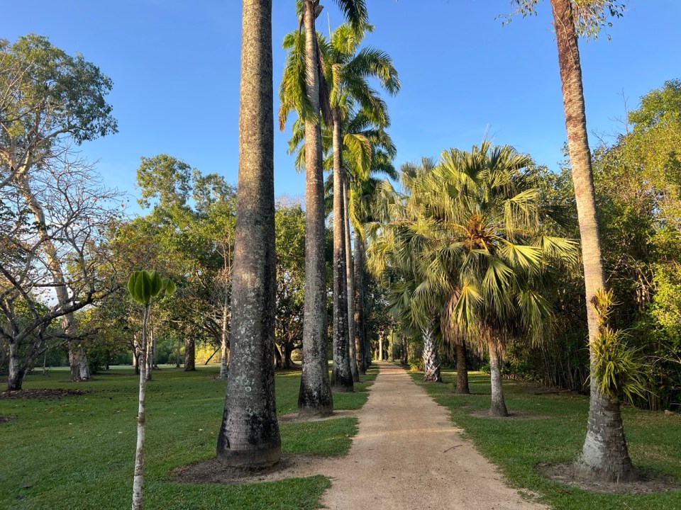 Cairns Botanic Gardens