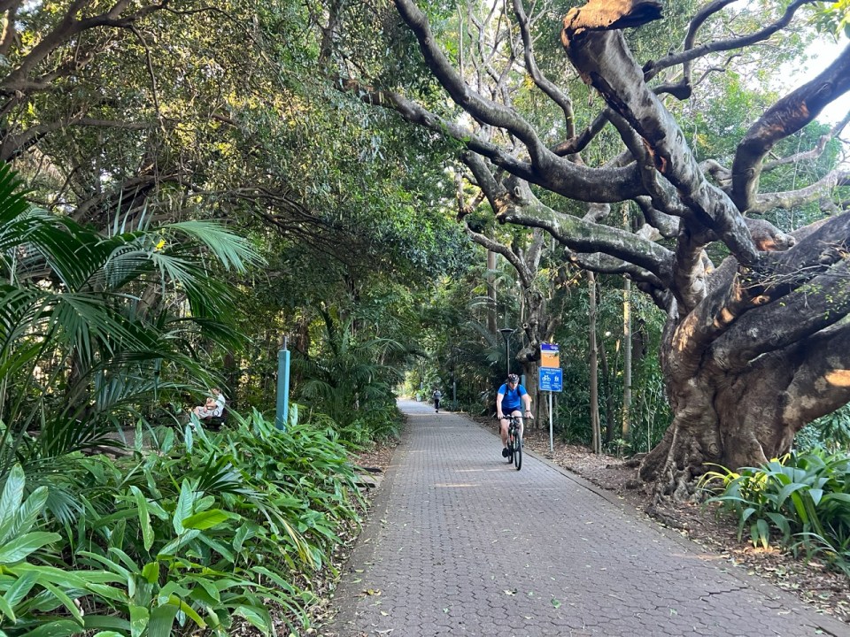 City Botanic Gardens