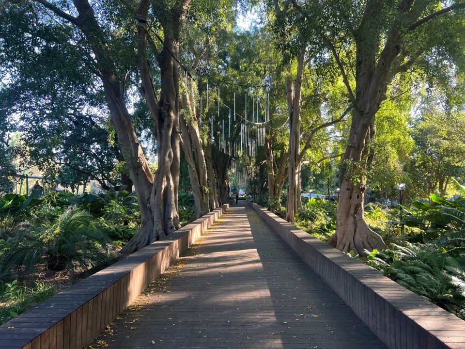 City Botanic Gardens